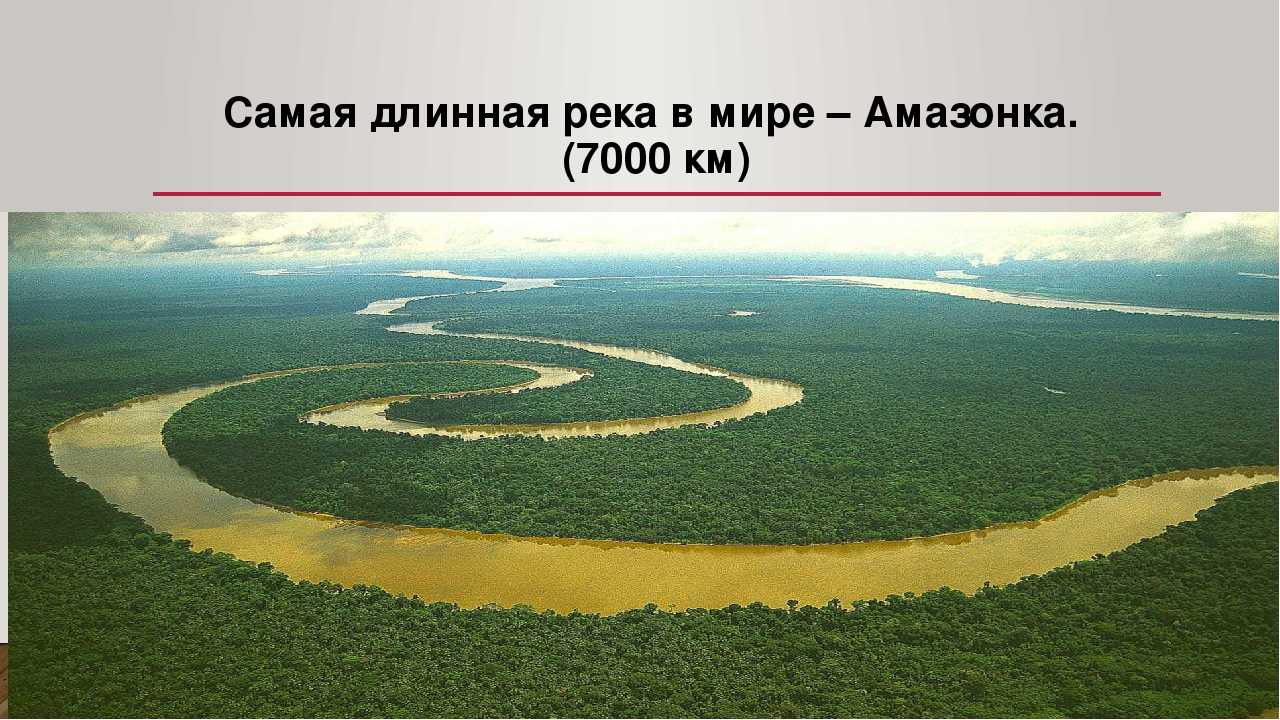 Какая самая длинная река в мире: нил или амазонка?