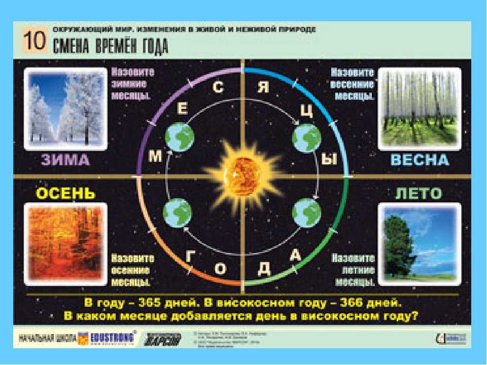 Влияние смены времен года на человека сообщение. Смена времен года. Астрономические времена года. Смена времен года инфографика. Смена времен года астрономия.