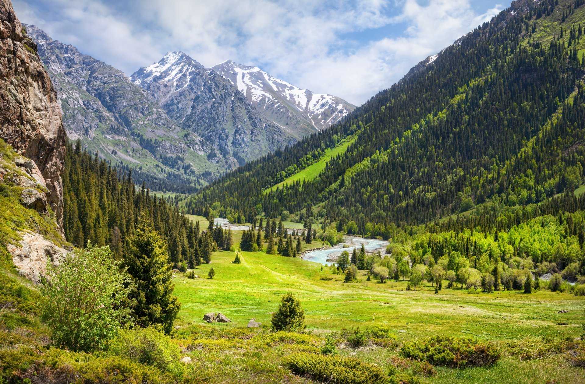 Природные зоны казахстана - особенности климата, флоры и фауны