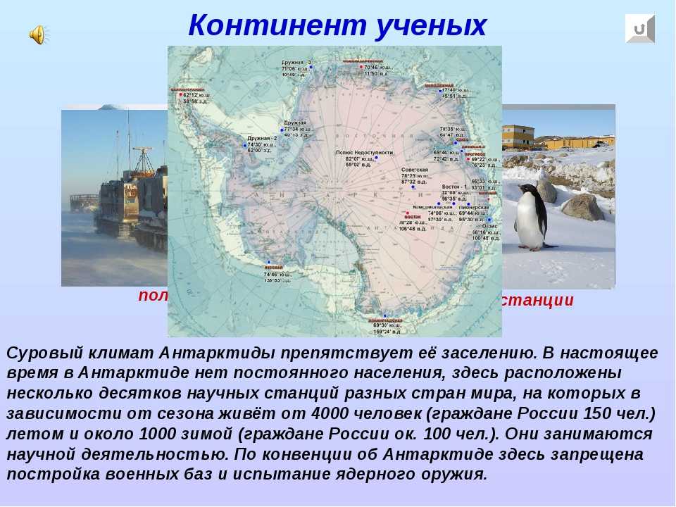 Природные особенности антарктиды. география антарктиды: геология, климат, внутренние воды, природные ресурсы и экология. животный мир антарктиды