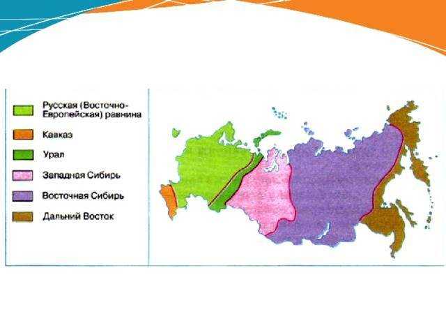 Пояса и природные зоны росии: типы климатов и разновидности растений и животных | tvercult.ru