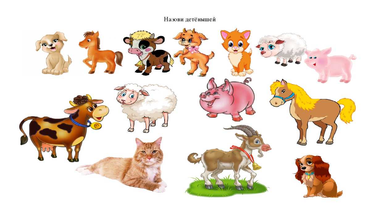 Картинки домашних и диких животных для малышей