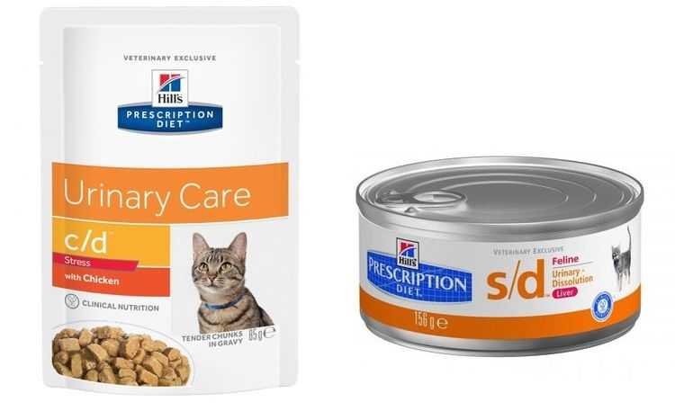 Болезни печени у кошек и их лечение с помощью диетического корма для кошек | hill's pet