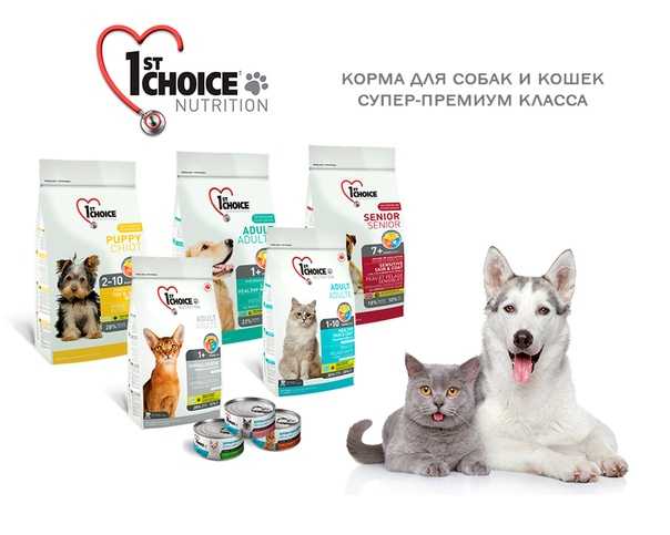 1st choice корм для кошек — анализ состава и отзыв ветеринара