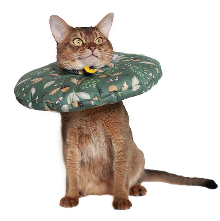 Защитный воротник для кошки: необходимость в послеоперационный период, другие назначения, как сделать воротник для кошки своими руками – 4 варианта