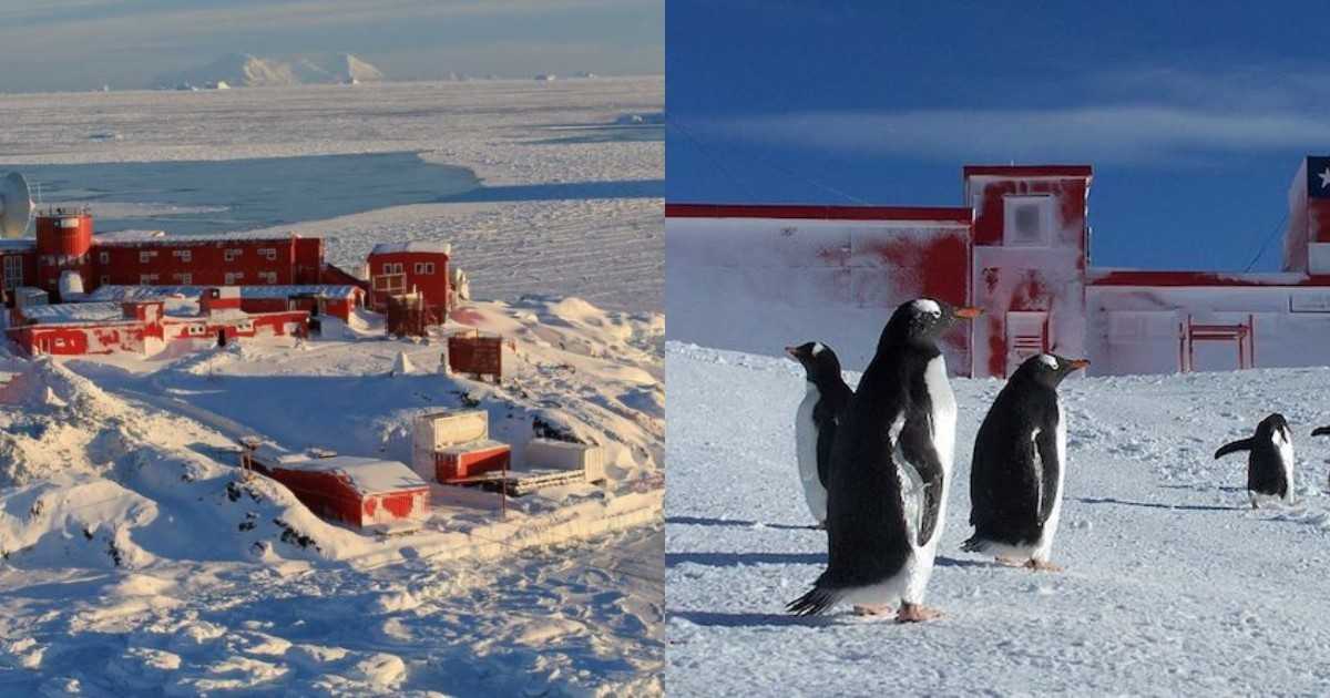 Антарктическое время. Станция Санаэ IV Антарктида. Австралия и Антарктика. Антарктида 88. Антарктида в реальной жизни.