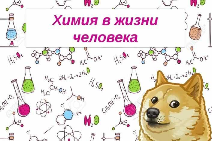 Химия в жизни каждого человека: роль науки для организма, вред и положительное значение | tvercult.ru