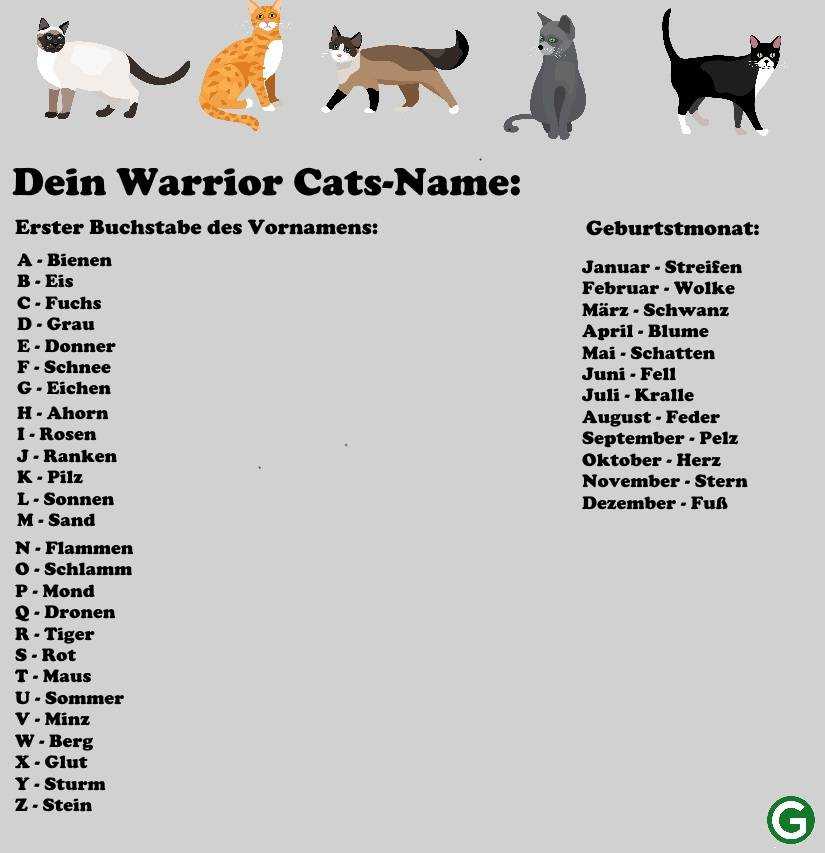 Прикольные и оригинальные имена для котов и кошек