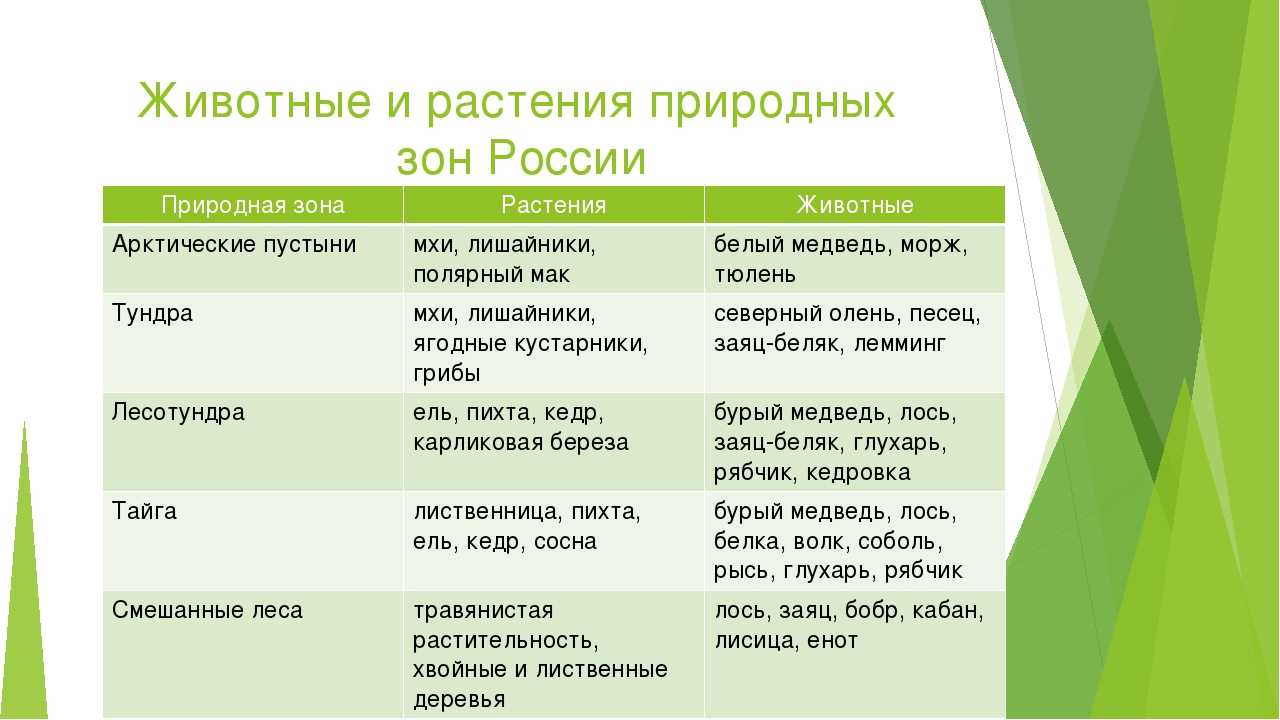 Природа московской области: разнообразие, охрана, памятники природы :: syl.ru