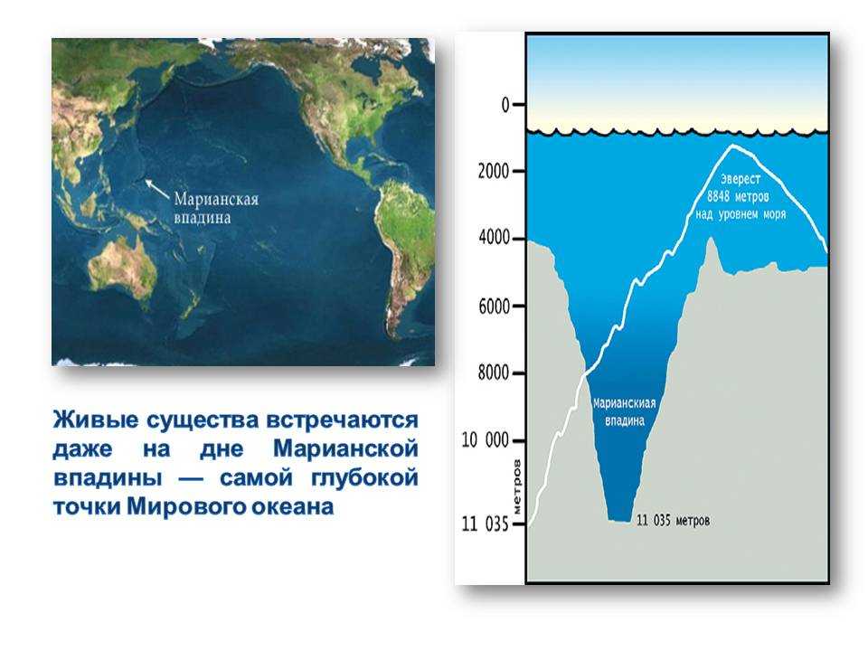 Самая глубокая впадина на суше это котловина. Глубина мирового океана Марианская впадина. Марианская впадина глубина 11022. Тихий Марианский желоб глубина в метрах. Марианский жёлоб глубина в метрах.