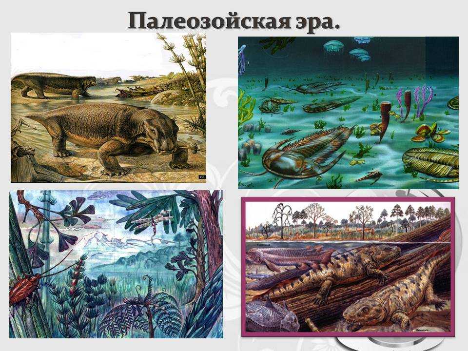 Мезозойская эра | длительность, животные и растения разных периодов