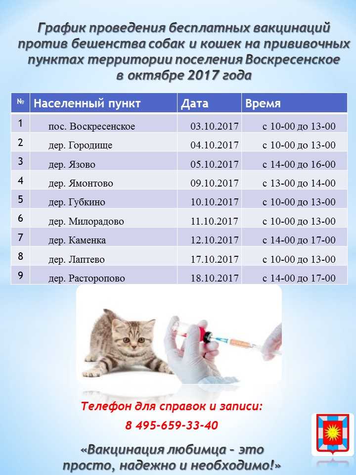 Вакцинация (прививки) кошкам: график по возрасту. какие прививки нужны кошке? | нпк "скифф"