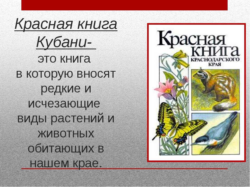 Доклад животные краснодарского края (сообщение) (описание для детей)
