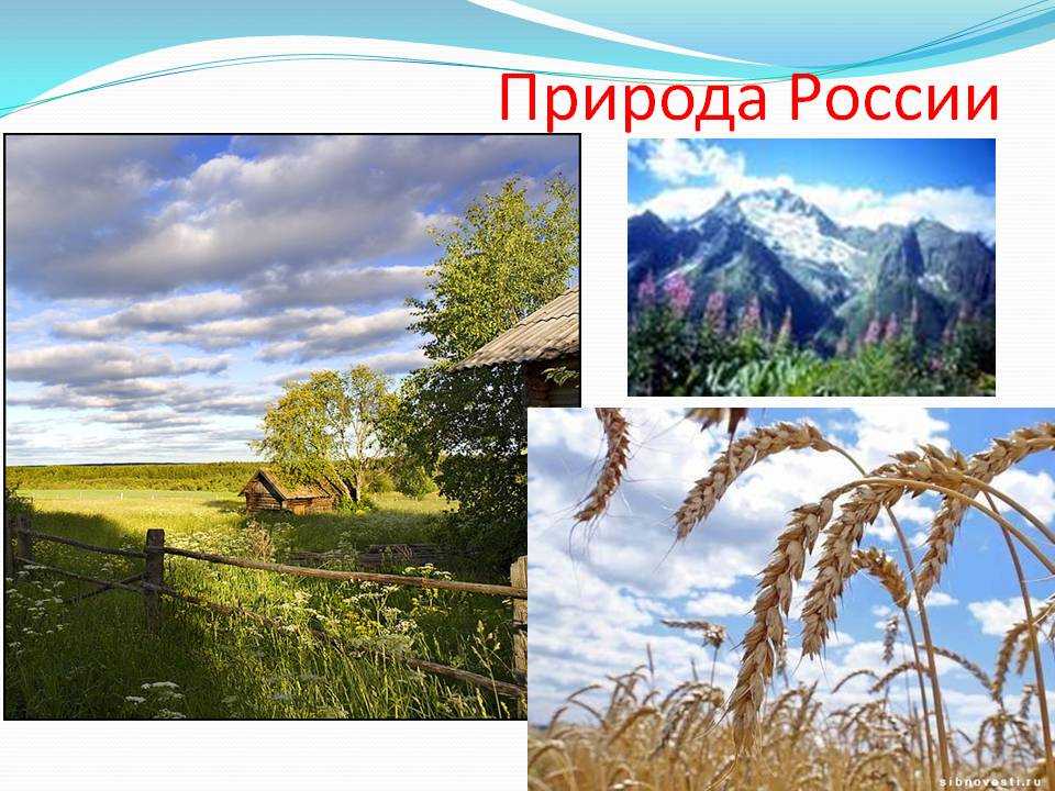 Тема природа 4 класс. Природа России проект. Природа России презентация. Презентация природа России Россия. Природа России 4к.