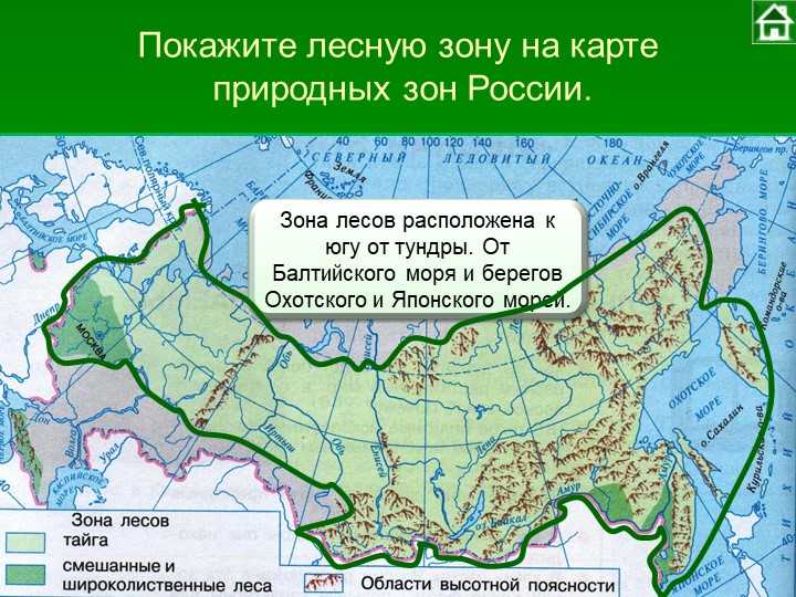 Природные зоны россии (окружающий мир, 4 класс)