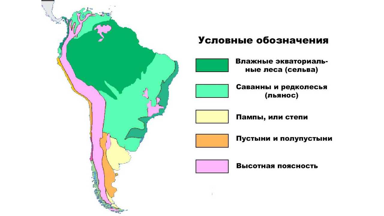Природные зоны южных материков ️ географическое положение, общие особенности