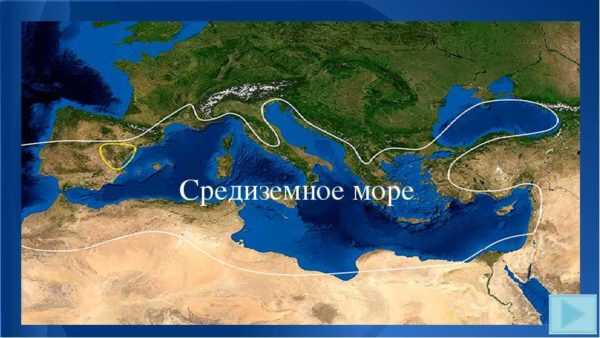 Средиземное море — подробная информация. какие страны омывает средиземное море?