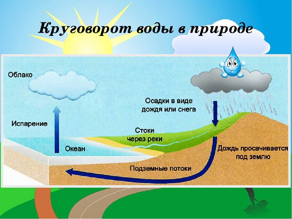 Какие процессы относятся к круговороту воды