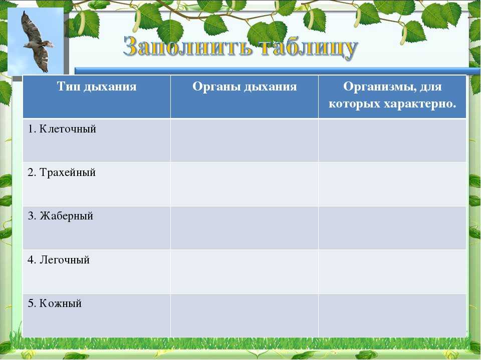 Органы дыхания растений. Тип дыхания органы дыхания организмы для которых это характерно. Дыхание растений и животных таблица. Дыхательные приспособления у растений.