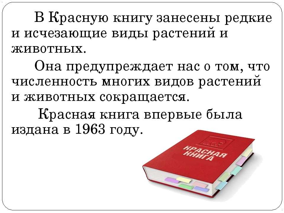Растения красной книги россии и мира: самый полный список, описание и фото