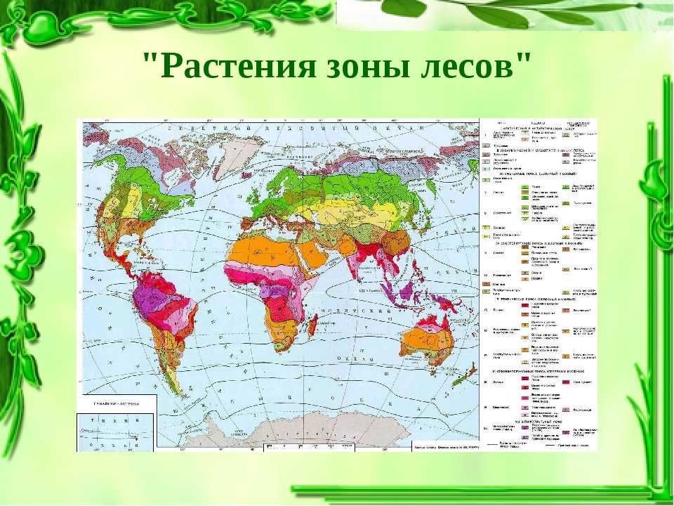 Природными зонами называют. Карта географических поясов и природных зон.