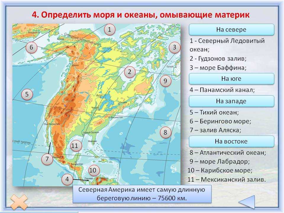 Какие океаны омывают россию: северные берега, какие моря относятся, названия, список, описание, карта, три океана