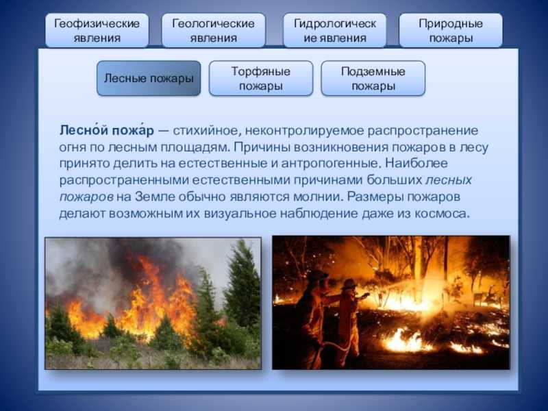 Виды пожаров. классификация пожаров. профилактика пожаров :: businessman.ru