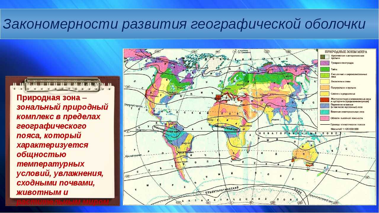 В каком поясе расположена большая часть евразии. Географическая карта природных зон земли.