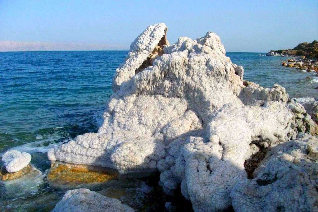 Почему вода в мертвом море считается ядовитой