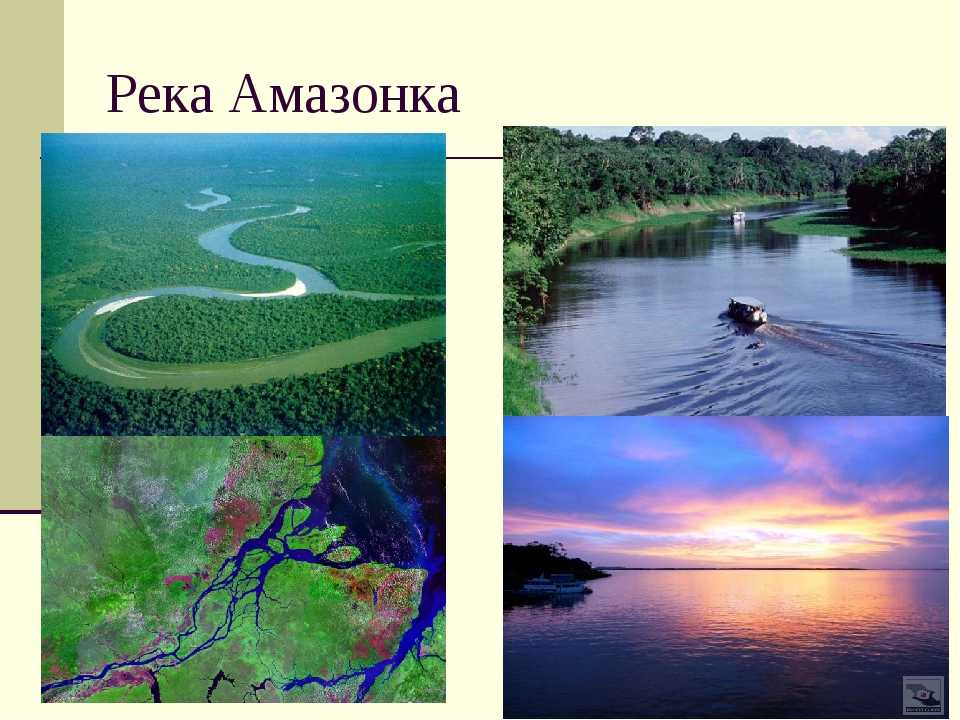 Река амазонка