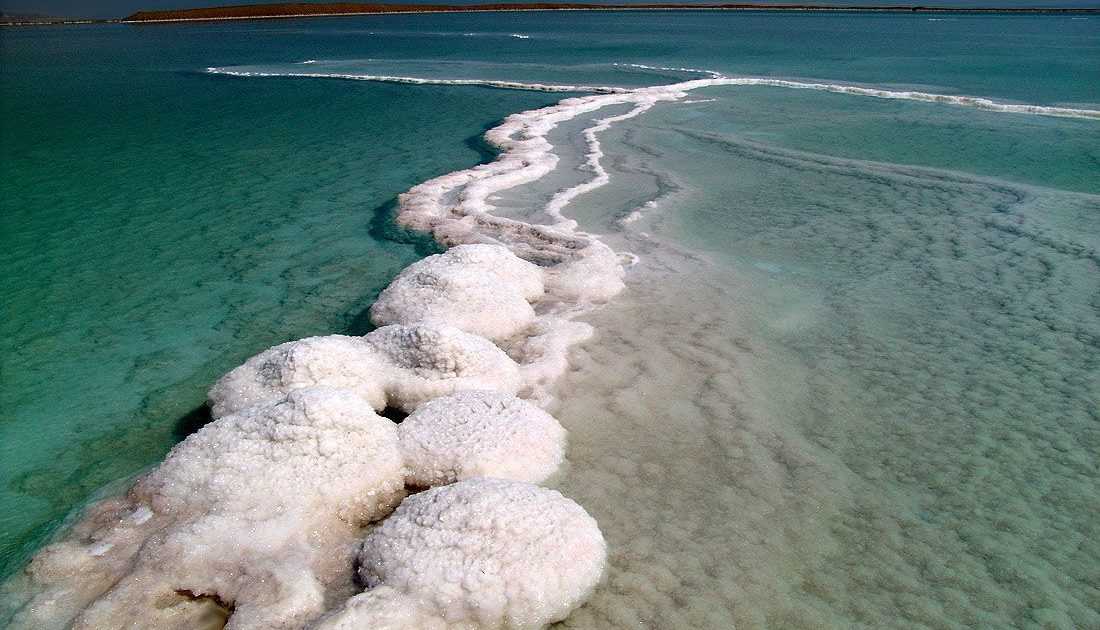 Водится ли в мертвом море что-то живое? 10 интересных фактов о мертвом море | brave defender