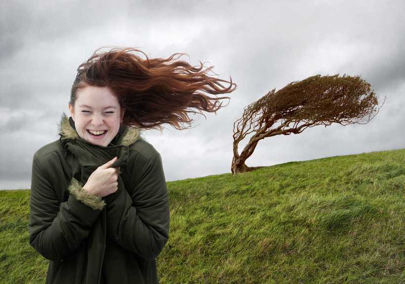Ветры и их характеристики, как образуются ветры и куда дуют / справочник :: бингоскул