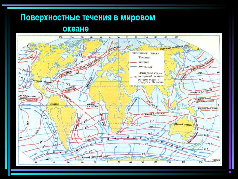 Океаны мира - сколько океанов и их названия, карта океанов на русском, список