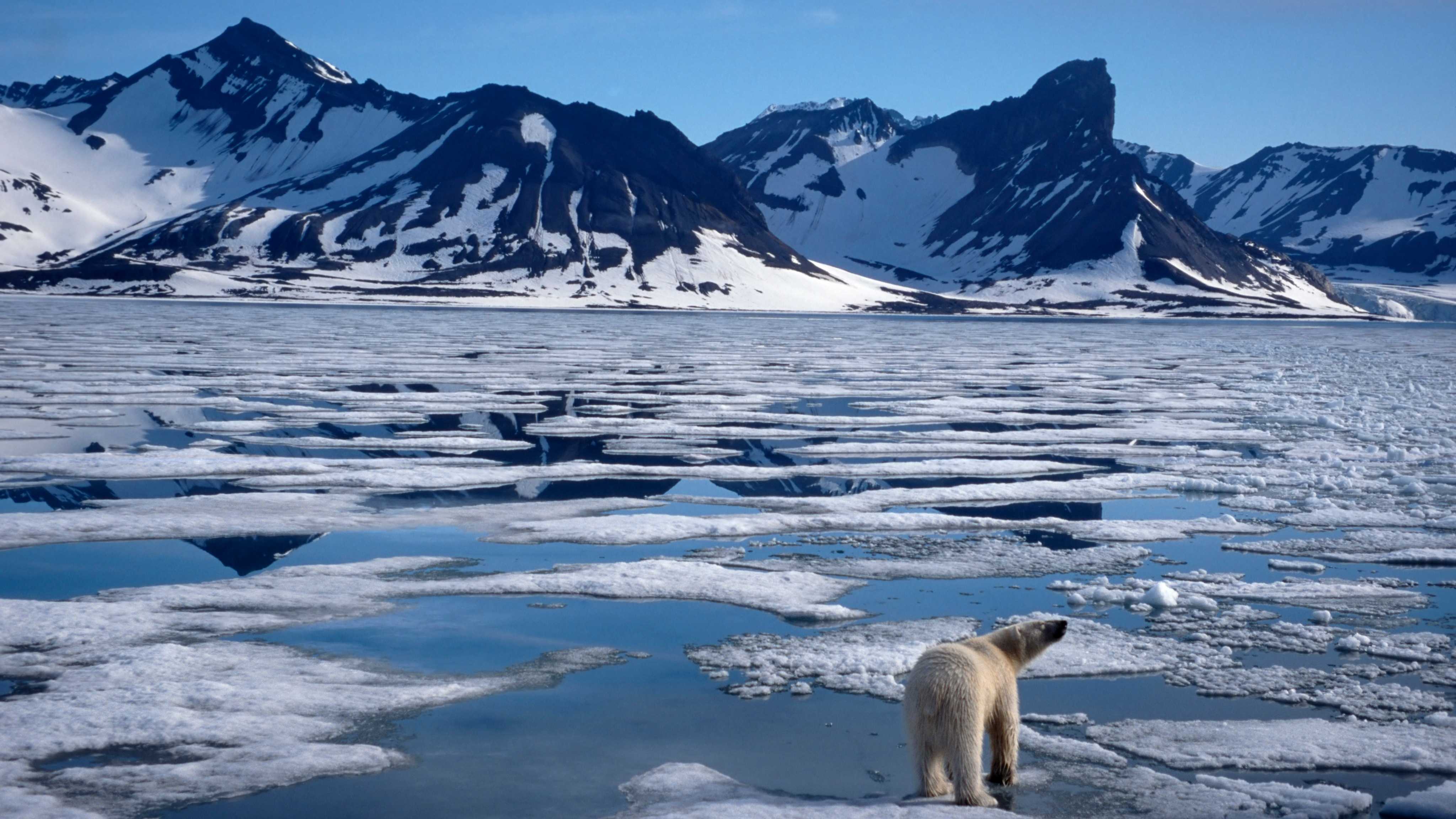 The great warming. Северный Ледовитый океан Аляска. Глобальное потребление. Глобальнее потепление. Потепление климата.