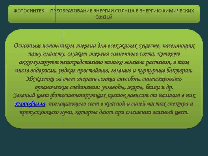 Биологический процесс фотосинтеза: сущность и формула, схема и подробное объяснение | tvercult.ru