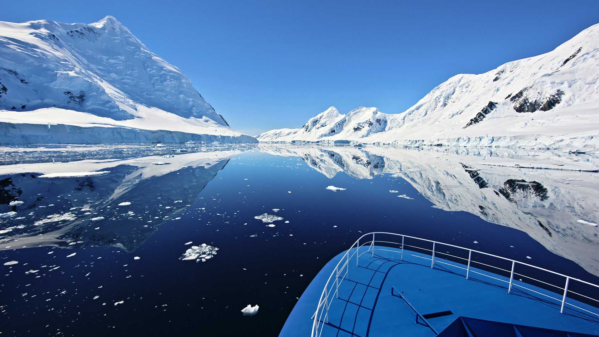 Антарктида - самый холодный материк планеты. природа и история изучения континента :: syl.ru