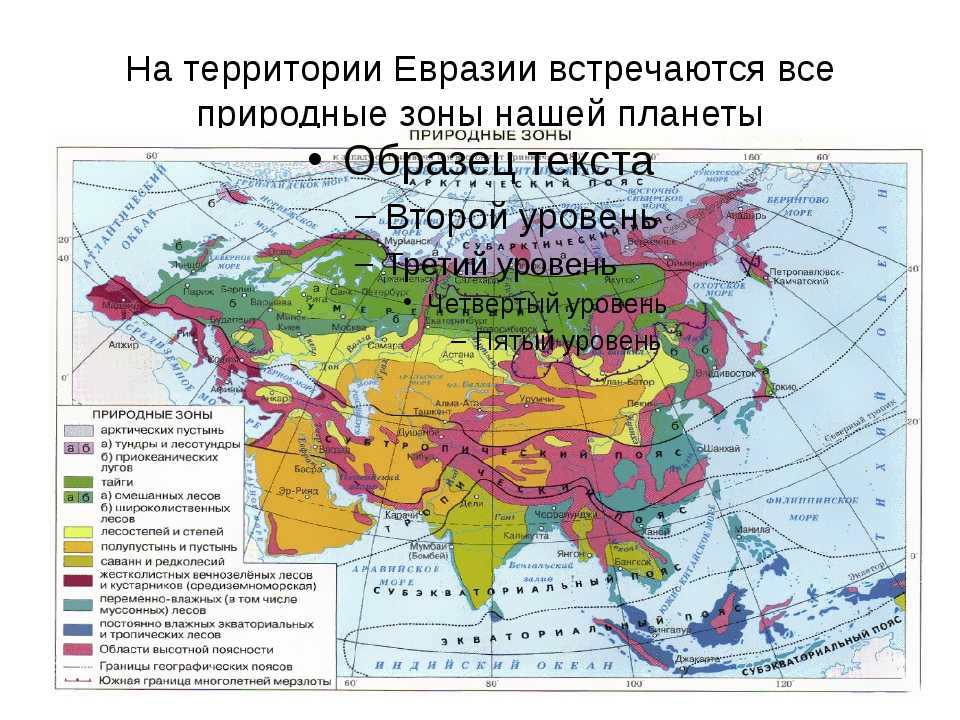 Описание материка евразия по плану 7 класс география душина