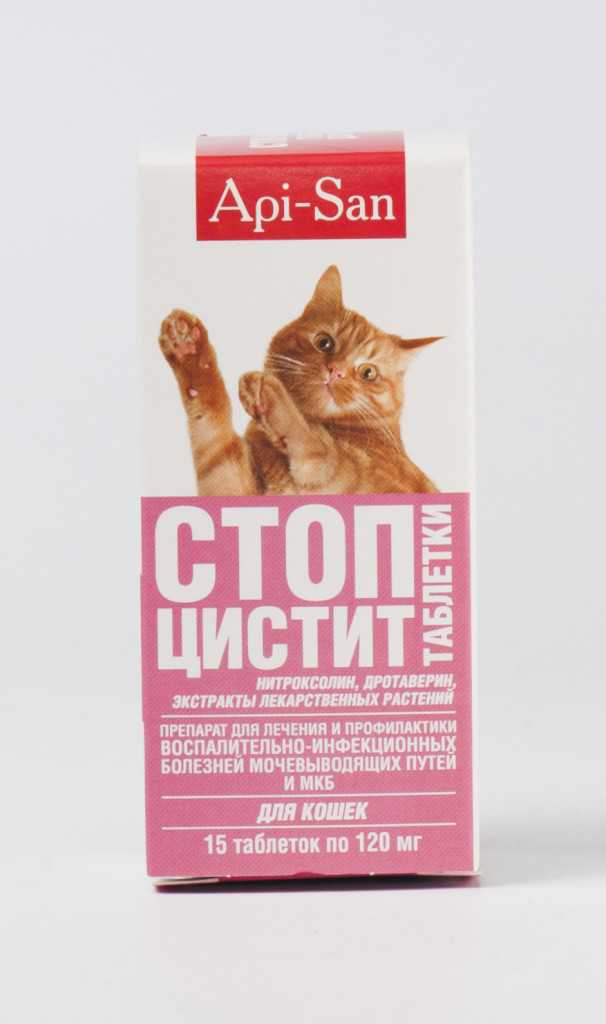 Котэрвин для котов кошек | цистит у кота лечение