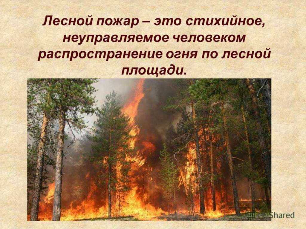 Природные пожары: причины и последствия
