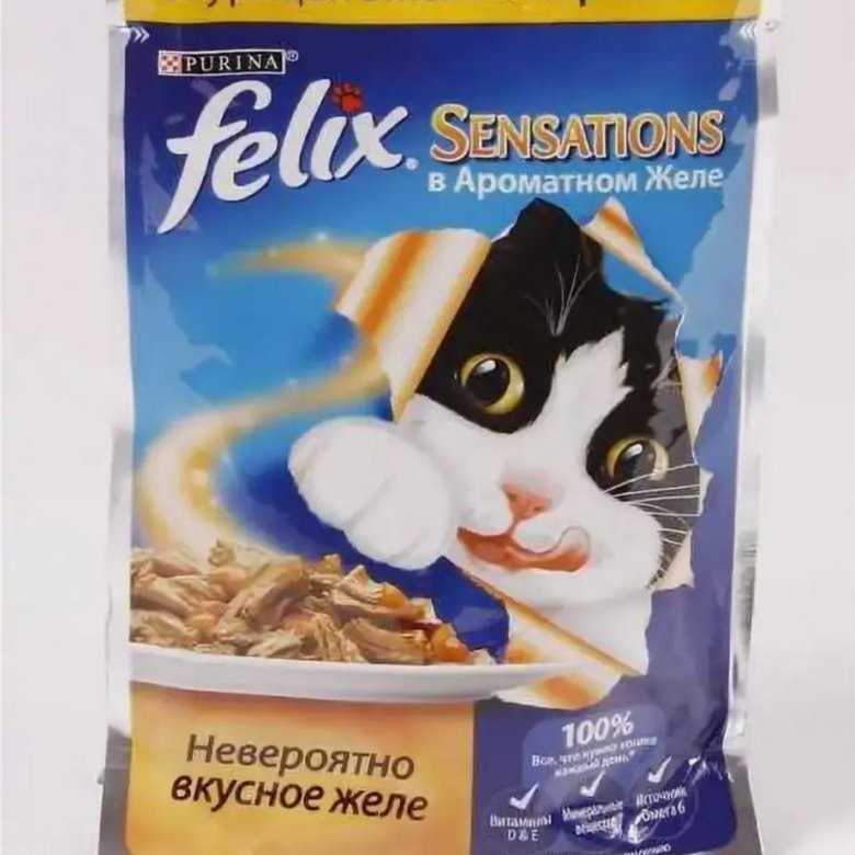 Феликс - корм для кошек: состав, полезные свойства, мнение ветеринаров