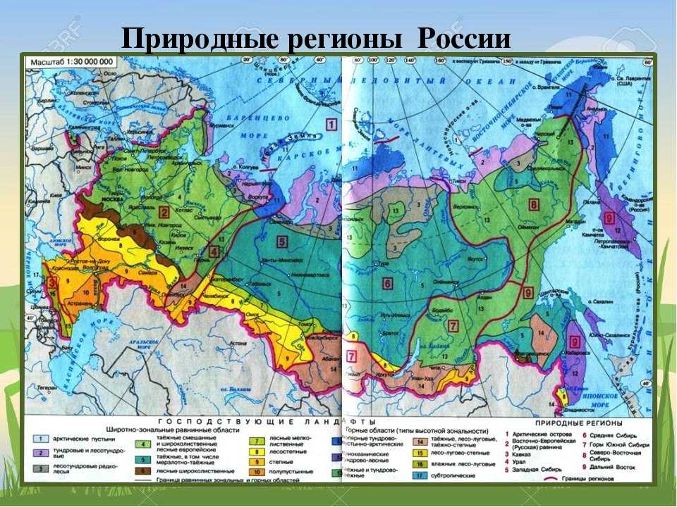 Природные зоны россии: характеристика и географическое положение на карте мира, зональность и почвы