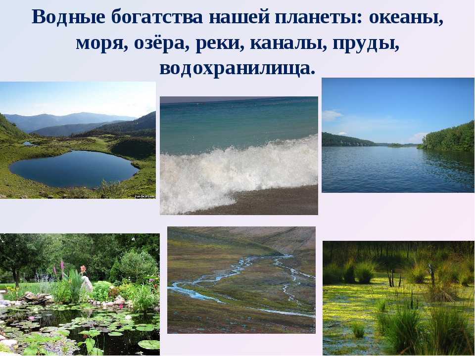 России повезло – на территории нашего родного края находится множество водоемов, которые могут быть использованы в хозяйстве
