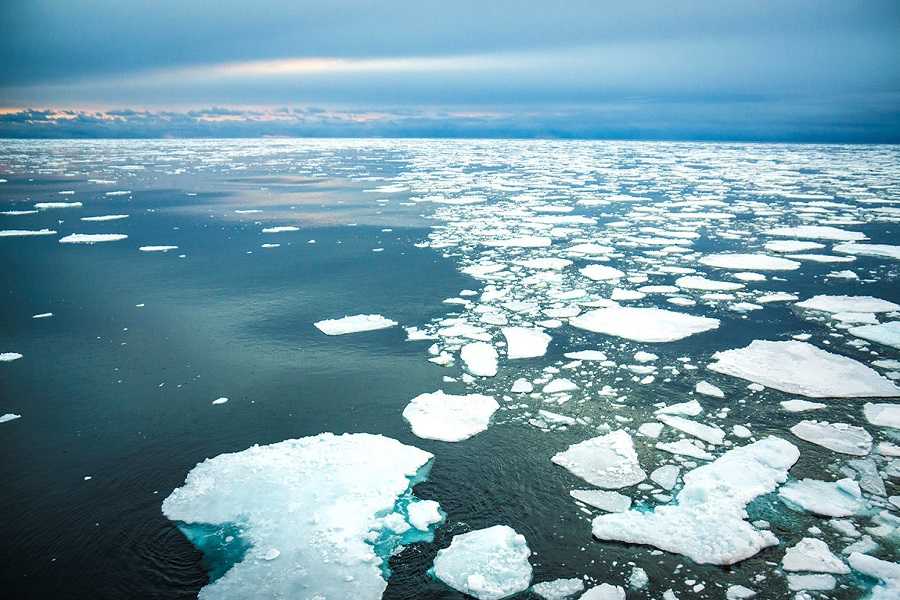 Северный ⚠️ ледовитый океан: особенности природы, климат и вода, в чем отличие от других