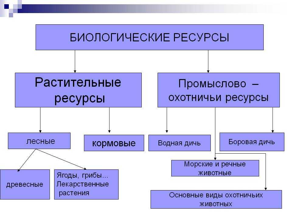 Основные виды природных ресурсов центральной базы россии