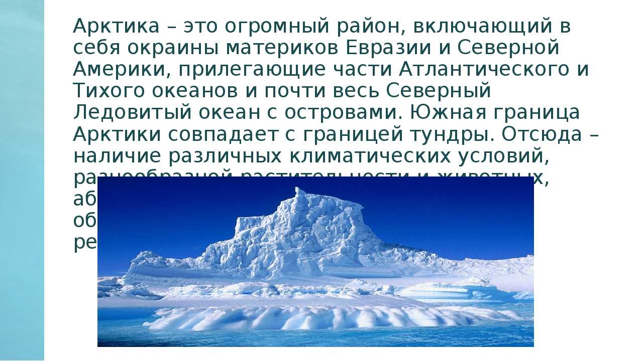 Проект арктика для школьников