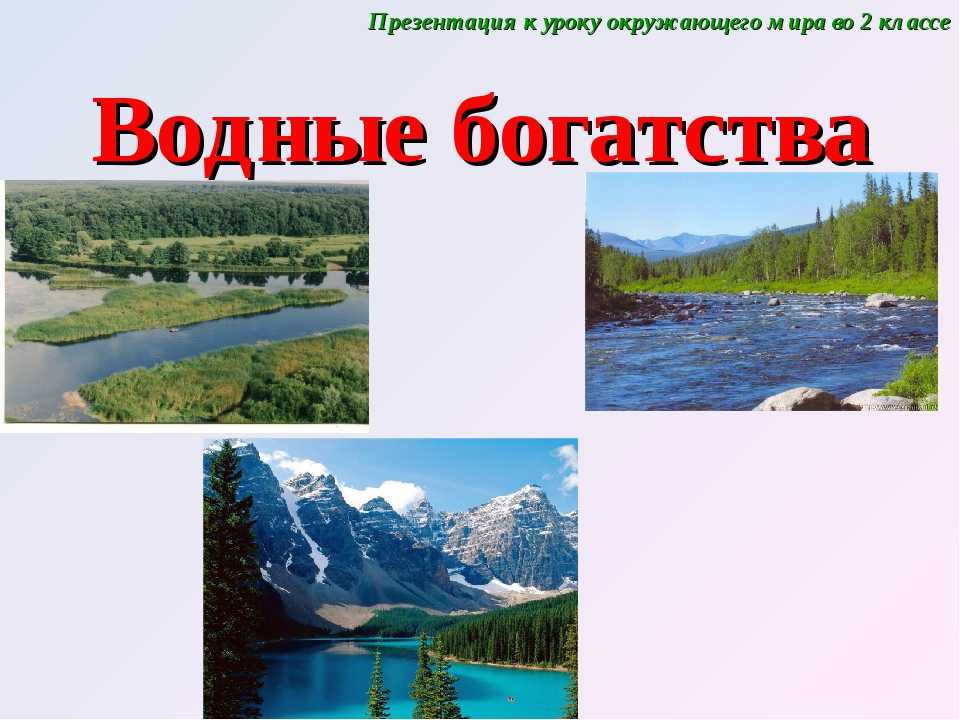 Урок 1: водоём и его обитатели - 100urokov.ru