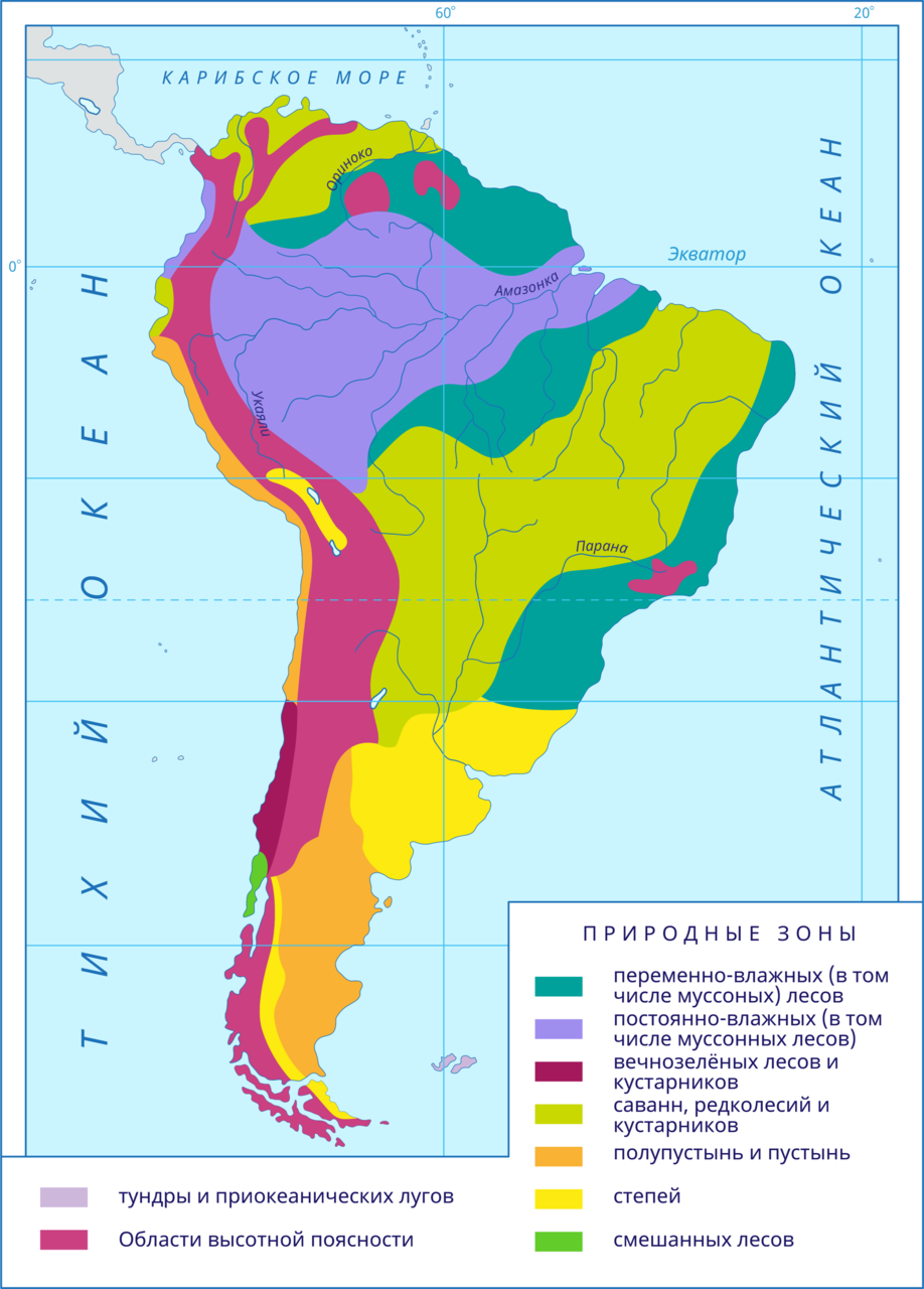 Природные зоны южной америки