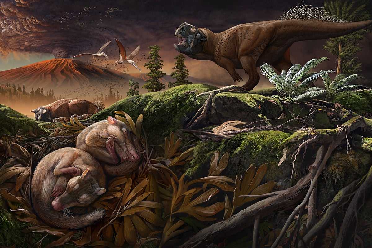 Самый большой динозавр на земле: лидеры - динозаврики