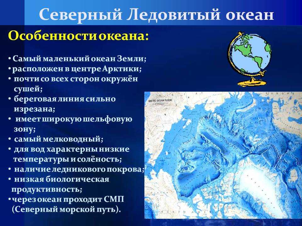 Карта мировых океанов: сколько в их составе морей, сравнение по размерам, глубине, солености и расположению, проблемы экологии - tarologiay.ru