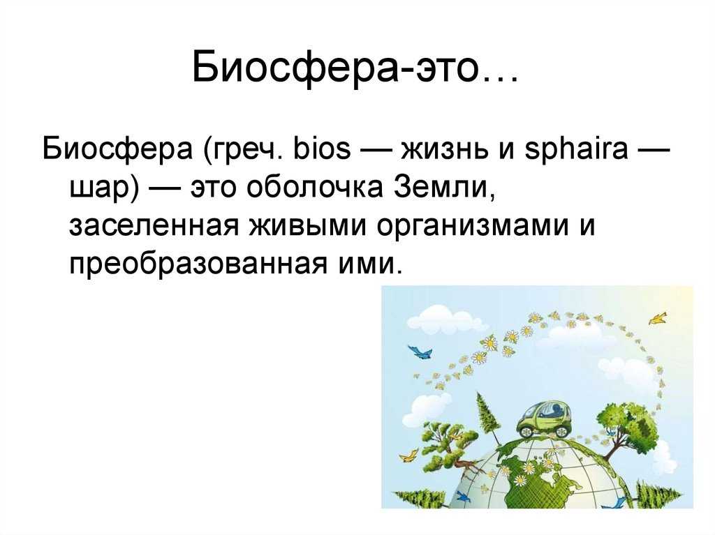 Что такое биосфера. ее границы, структура и функции
